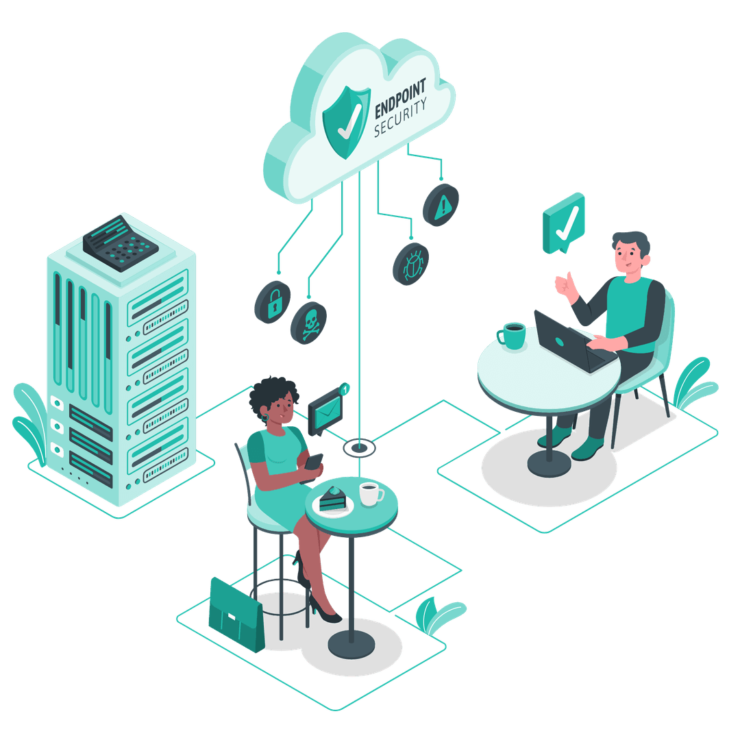 حلول شبكات احترافية